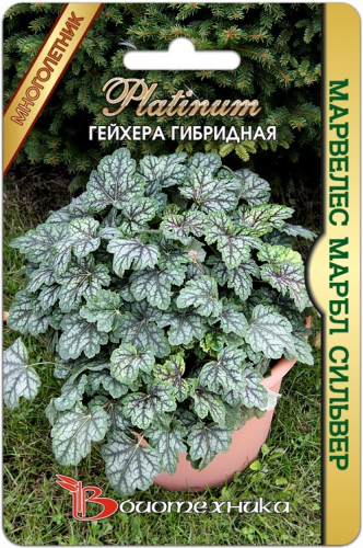 ������������, � ��� ����� �������