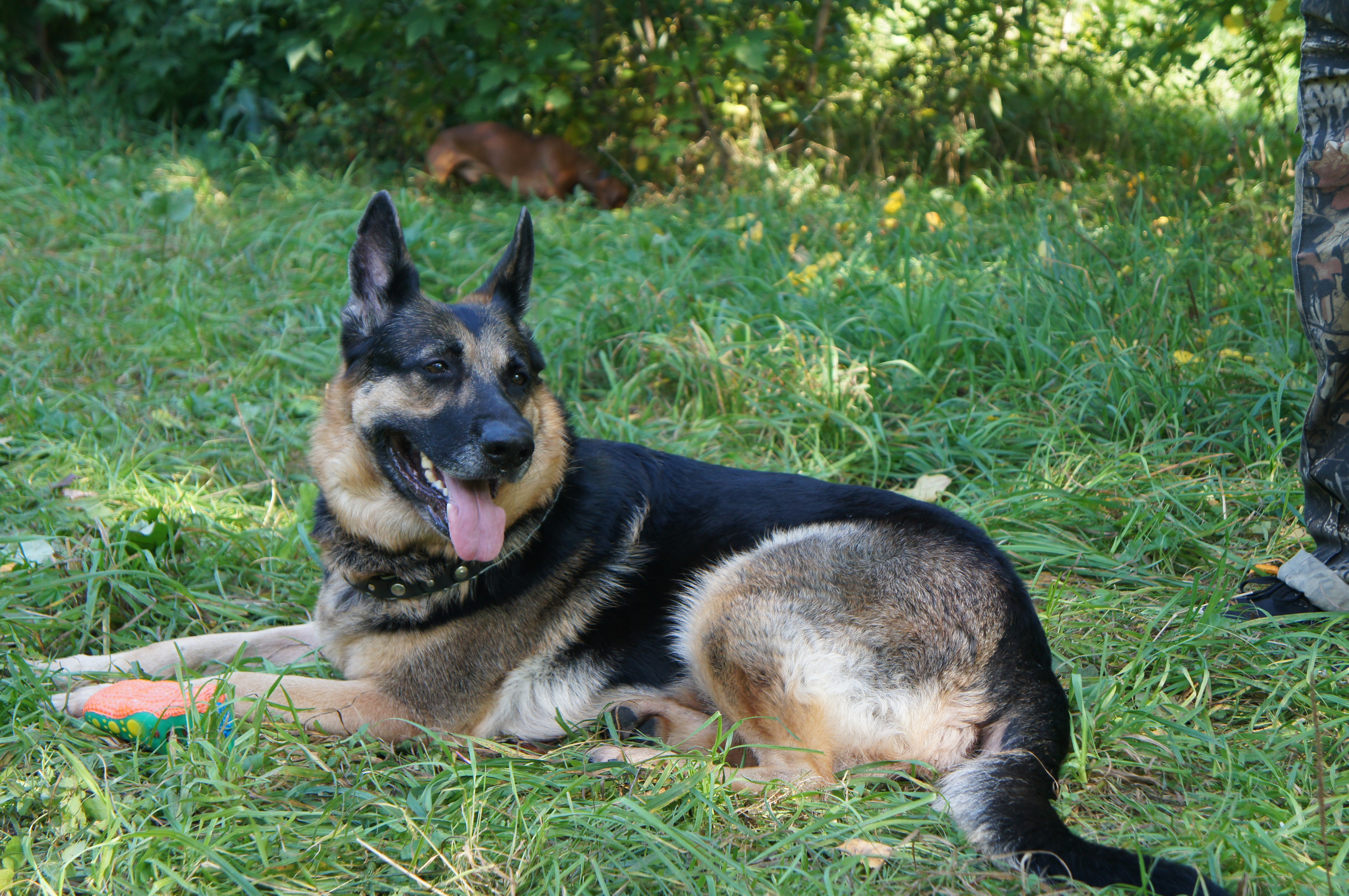 �� ����� ���� ������