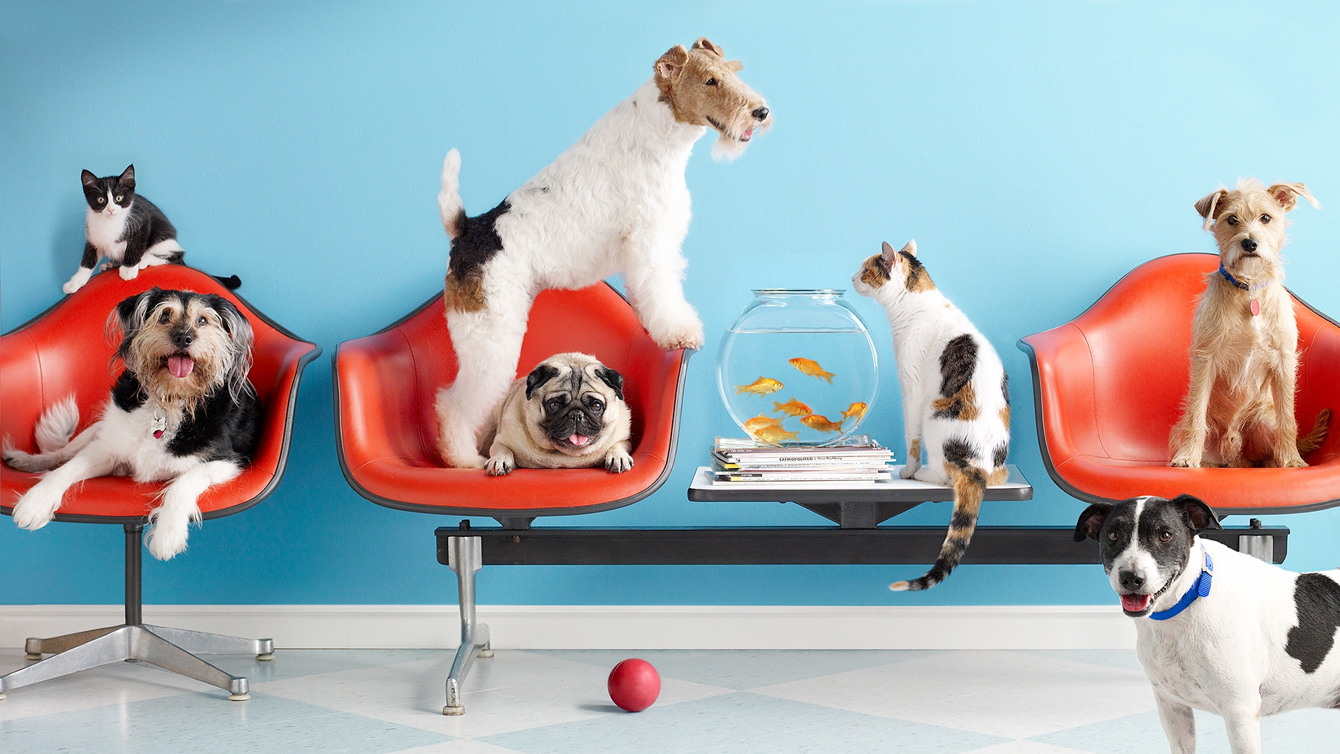 ����� ����� �������� � ����� ������? ������� ������ �� �����