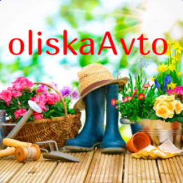 ��������� � ���� ������ � �������!