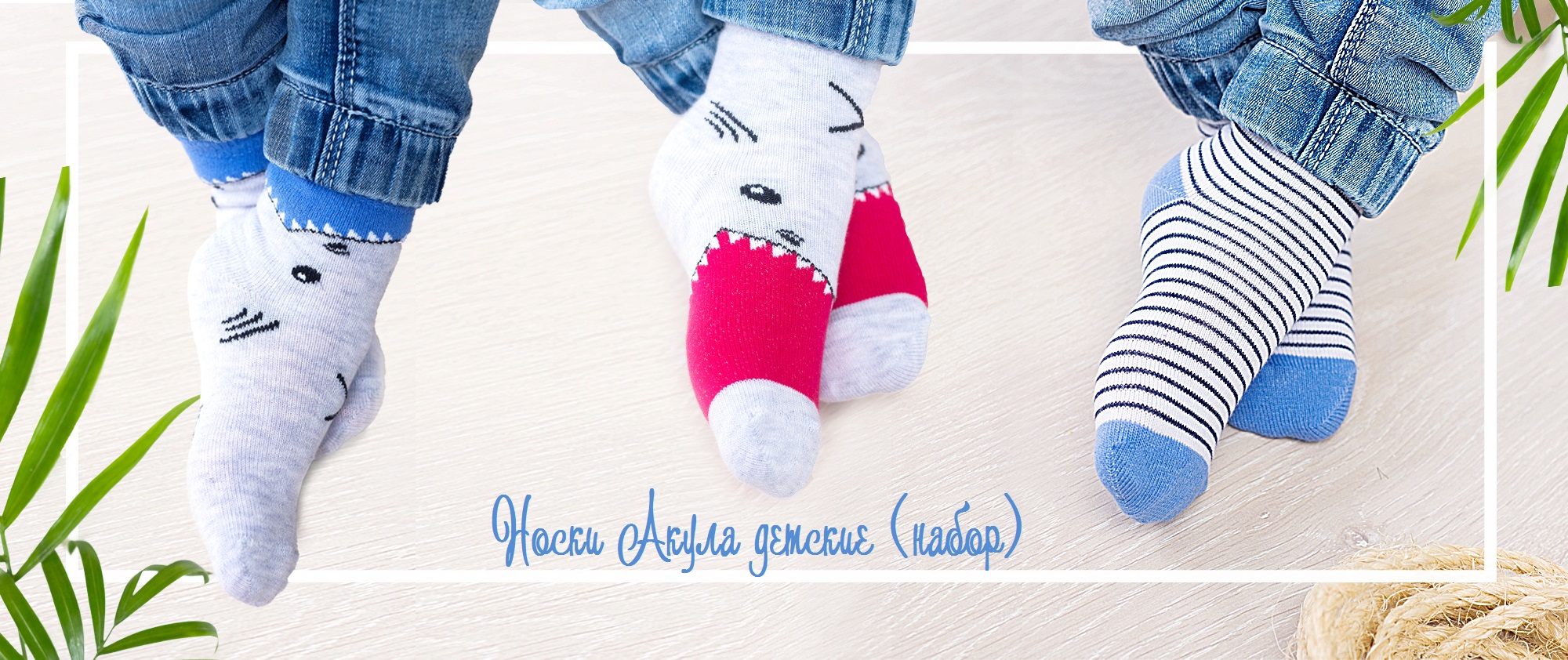  ���� ������� �� 11.01 ��� ����� �����-��� ���� �����+ �������+��������.