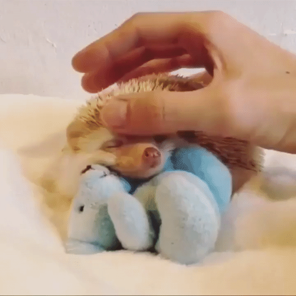 ������������