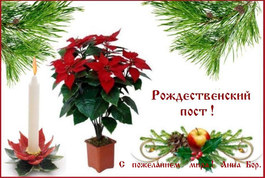 ������������  ����� !