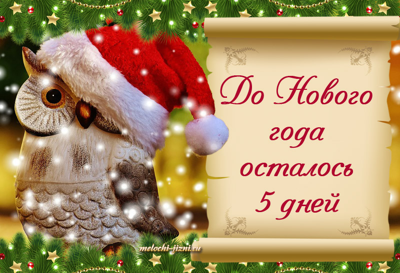 ��� �����