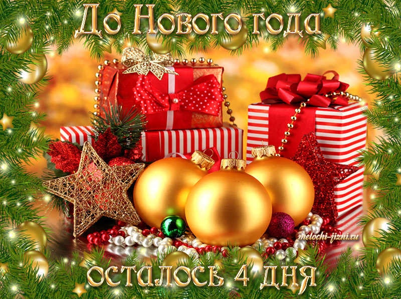 ��� �����