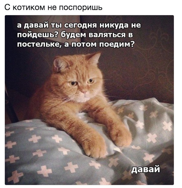 ����� ����.