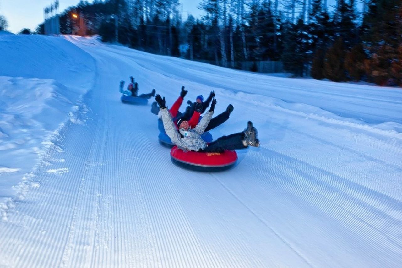 ���� ������� �� 15.01. ��������-����������, ������� � �������� ��� ������ �����!���� ��� ������!����� ������� 2020 - 3!