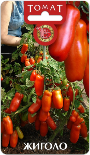 ���� �� 27.01. ������ �� �������� ����������. 3/20