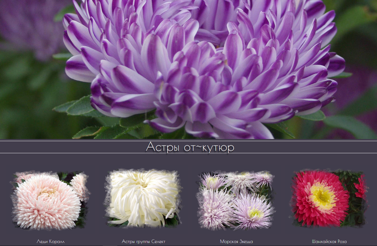 ����� - ��������� ��������� �����������! �� ��������?