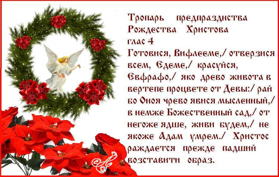 �������������� ��������� ��������.