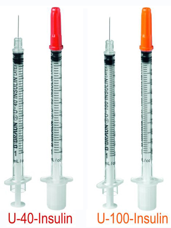 ���� 12.01. ���� �������. ������ - ����� �������.��� ��������, ��� ������������, ��� ������, � ��� ������� ����