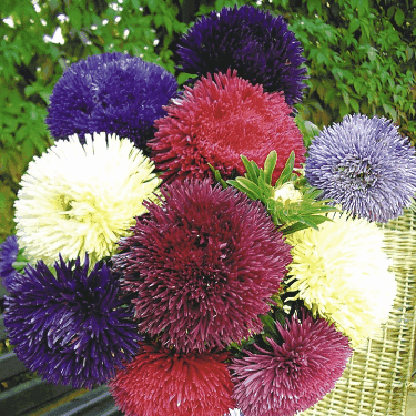 ���� ������� �� 20.01. ���������������� ������ ������, ������, ������������ ����. ����� 3/20