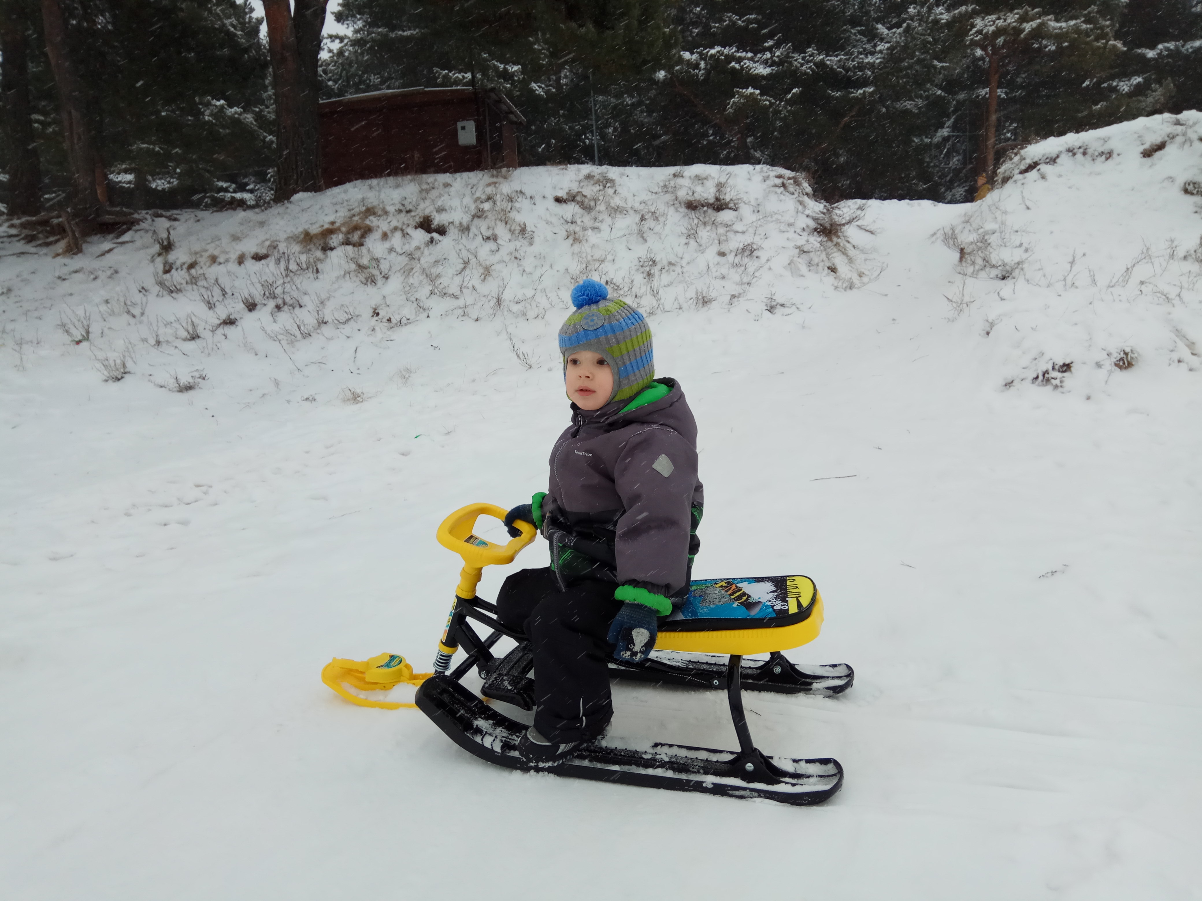 ����. ��������. ���� ❄❄❄ #���������� #����������������� #��� #�������� #����2020 #���� #�����2020 #8���� #��������2020 #�������_�����_� #petrova_maria_n