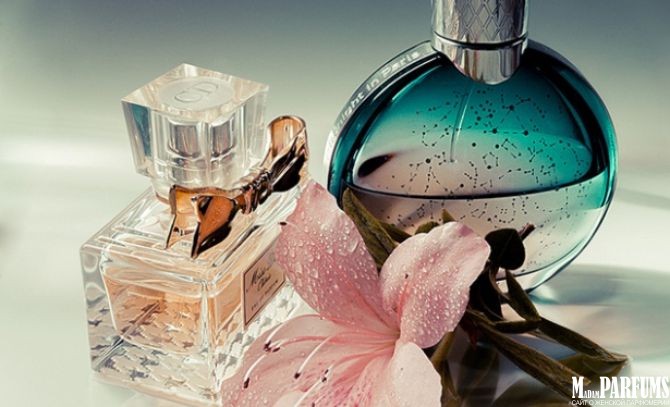 ���� 14.01.���� �������-83. ����� ���. ��������� ���������� � ��������� (����� � �������� ) �� 255� �� 100��, ����,�������� 105�, ��������� 23�, ������� - 775�. ��������� ����� ������� � ����������. ���������� �������� ���������, �� ����� ���������