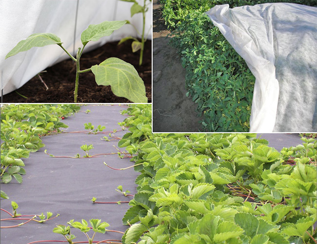 ��������, ����� ����������! ��������, ����������, ������ �� ����� �������� �����!