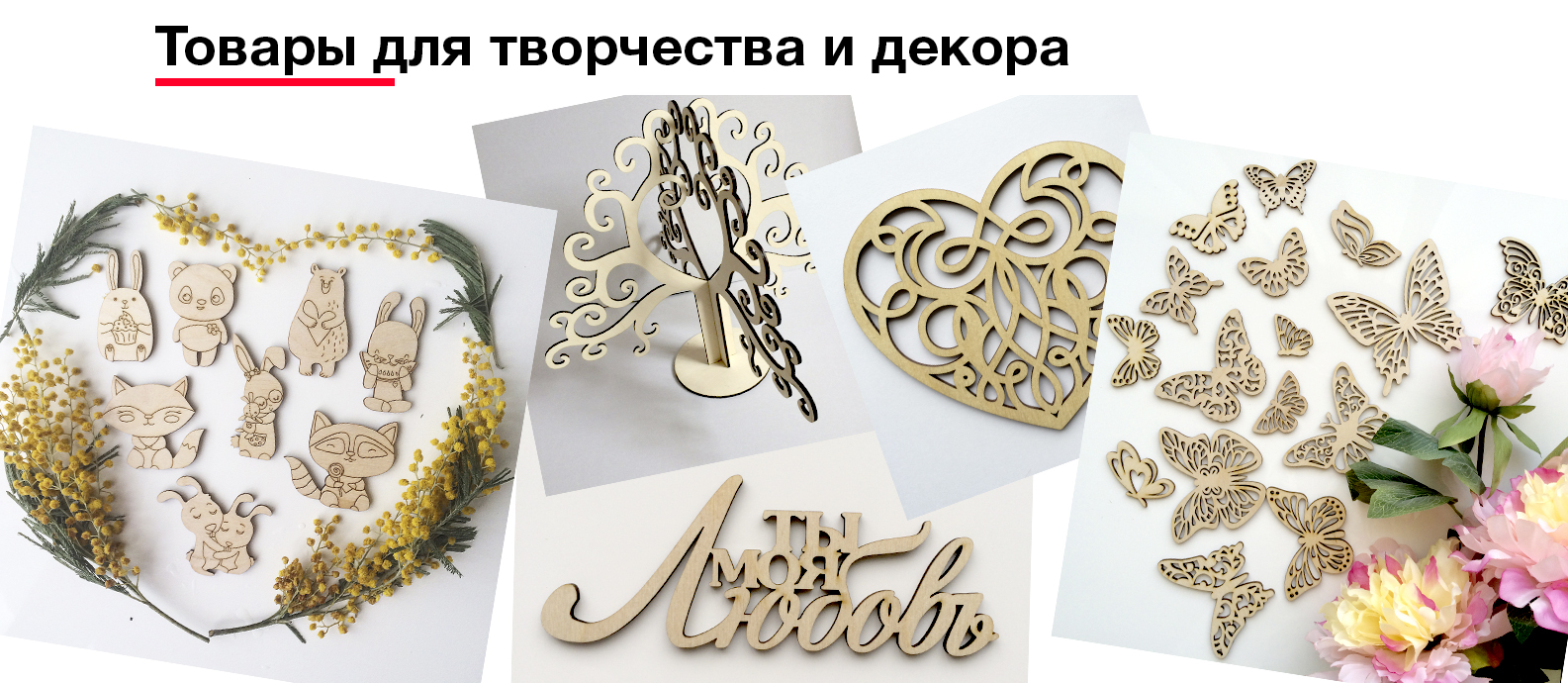 ���� �������. ������ ��� ������ ����������. �����,����, ������ �������������,��������,�������,������������� ��������� - 5.