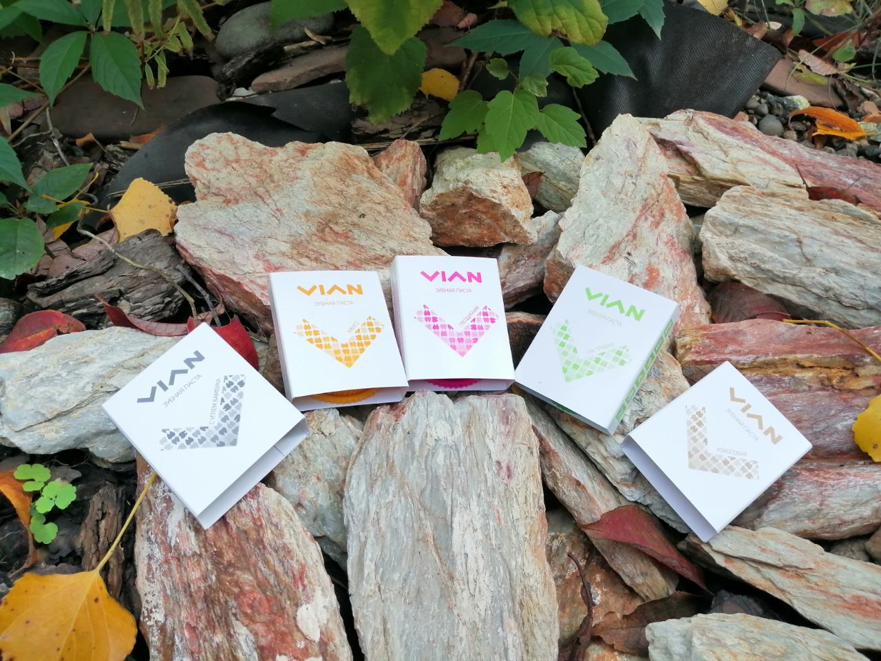 ��� ��������� �� 17.01. VIAN - ����������� ����������������� ������ ����� � �����������. ������ �� �ӣ! ����� 2