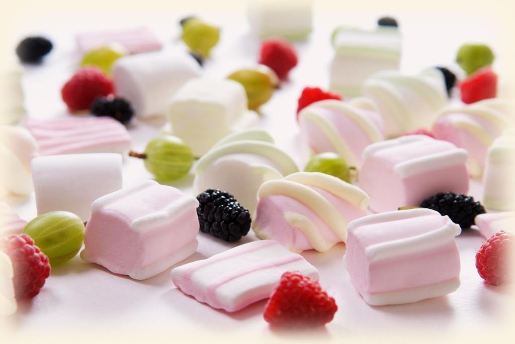 ���� �� 24.02. ���������-������� �� ��� �� ������-�� ������ ����,���� � �����, � ����� ������ �������� �� Confectum.2