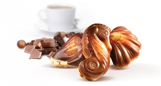 ���� �� 27 ������. ��������� �� ������. �������, �������, ������� � ������ ��������. ��������� � 23 ������� � 8 �����! ������� 25