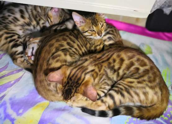 ����������� ������ � ������ ����������