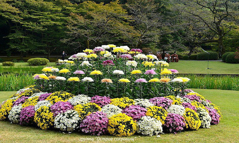 ����������! ���������� �����������, ��������� � ������, ��������������� �����. ��������� �� ���� 2020.