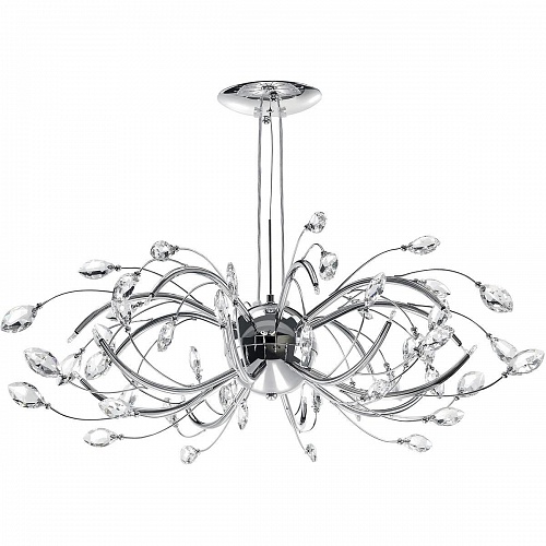 ���� ������� 03/02/ ������������� �������� ����������� ����� ����Star ! ��� ���������� ������ � ����