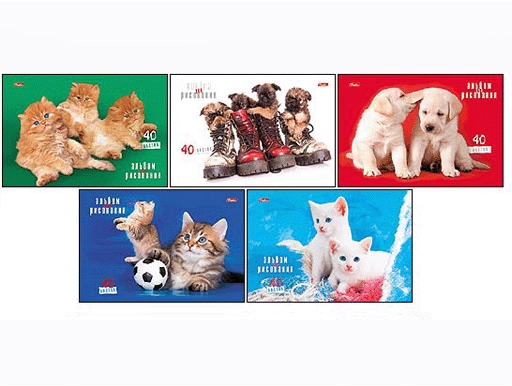 ����������. �������� ������� � �����. ����� ��� �����. ������� 13.02.