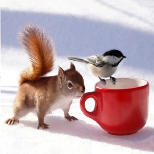 ���� �� 29.01. �����, ����������, ������� - ��������� �������� ������ �� ������!-61