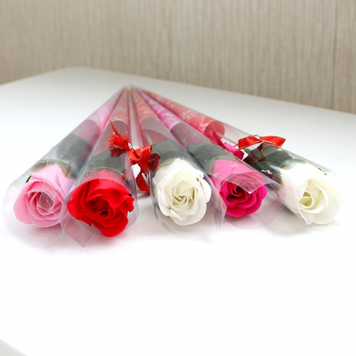 ���������� ���� �� 14 ������� ��� 8 ����� ( � �������� ����������)    ������� ����: 50 �