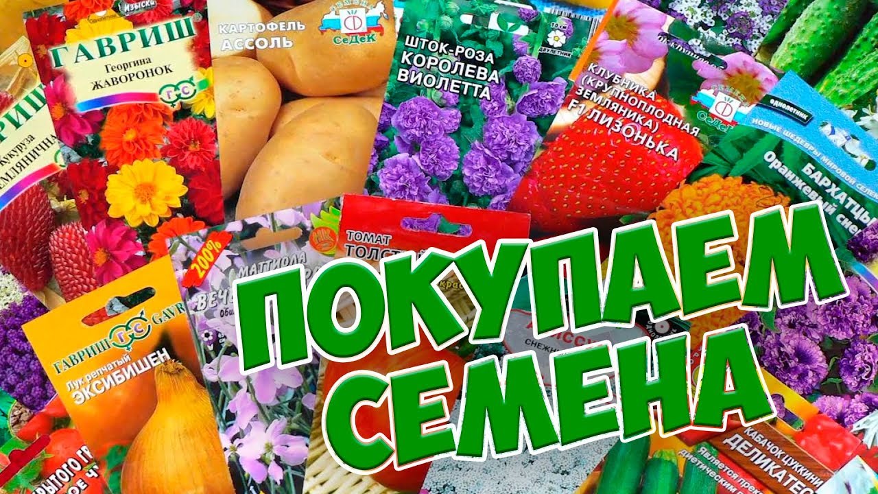 ���� ������� �� 05.02. ������� ��������. �������� ���� �����! ��� ���� � ����� ������ � ������-2!