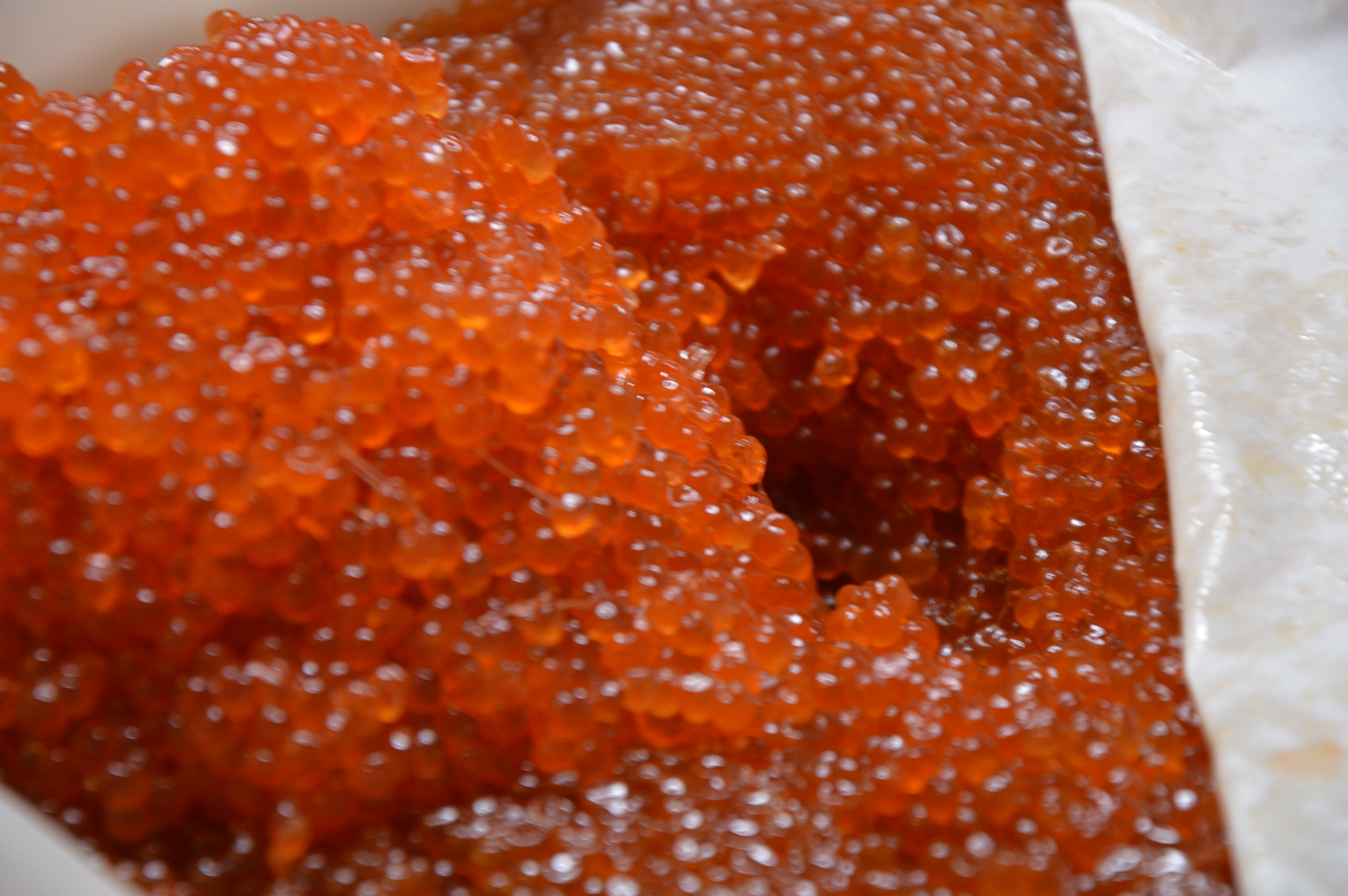 ������� �� ������� ����. �������! ���� ������� �������, ���� � ����� � ����