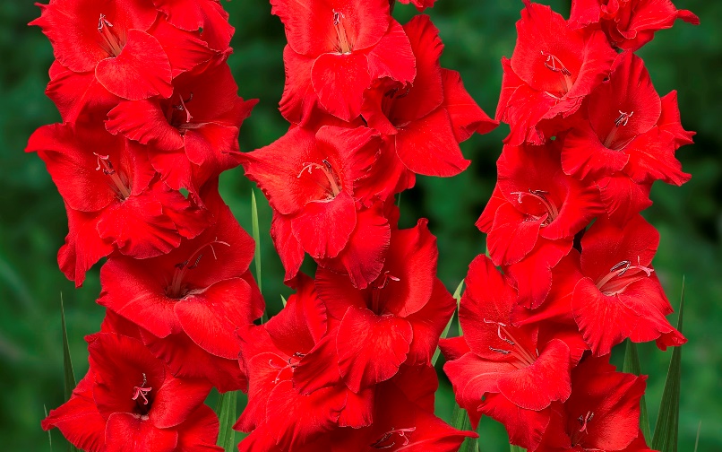 ��������� ������-23.����������, ����������,���������, ���������, �����,����� � ��.����� 2020