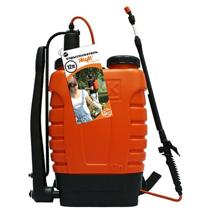 ���� ����������� ���������.���������� �������� ����. ��� ���, ��� ��� ������ � ���� .