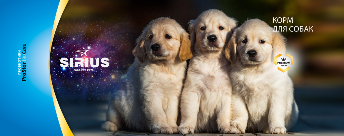 [b]���� �������. ������� ����� ��� ����� � ����� �������-������ (�� ������, �� ��� ������) �������� �������� �� ������ �����.[/b]