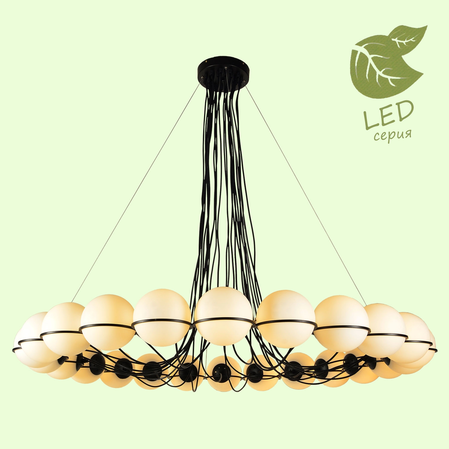 ���� �� 10.02. ���������. ����������� Lus*_*sole! ���� �� ������� �� 800 ���������! - 02/20