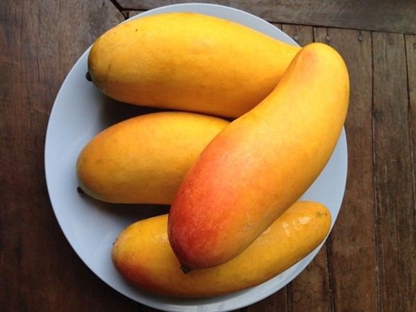 ���� ������� �� 31.01. ����� � ������! ������ ������ �� ���������� ��������. �������! ��������� ����������� ����������- ����� , �������� , �����. -13