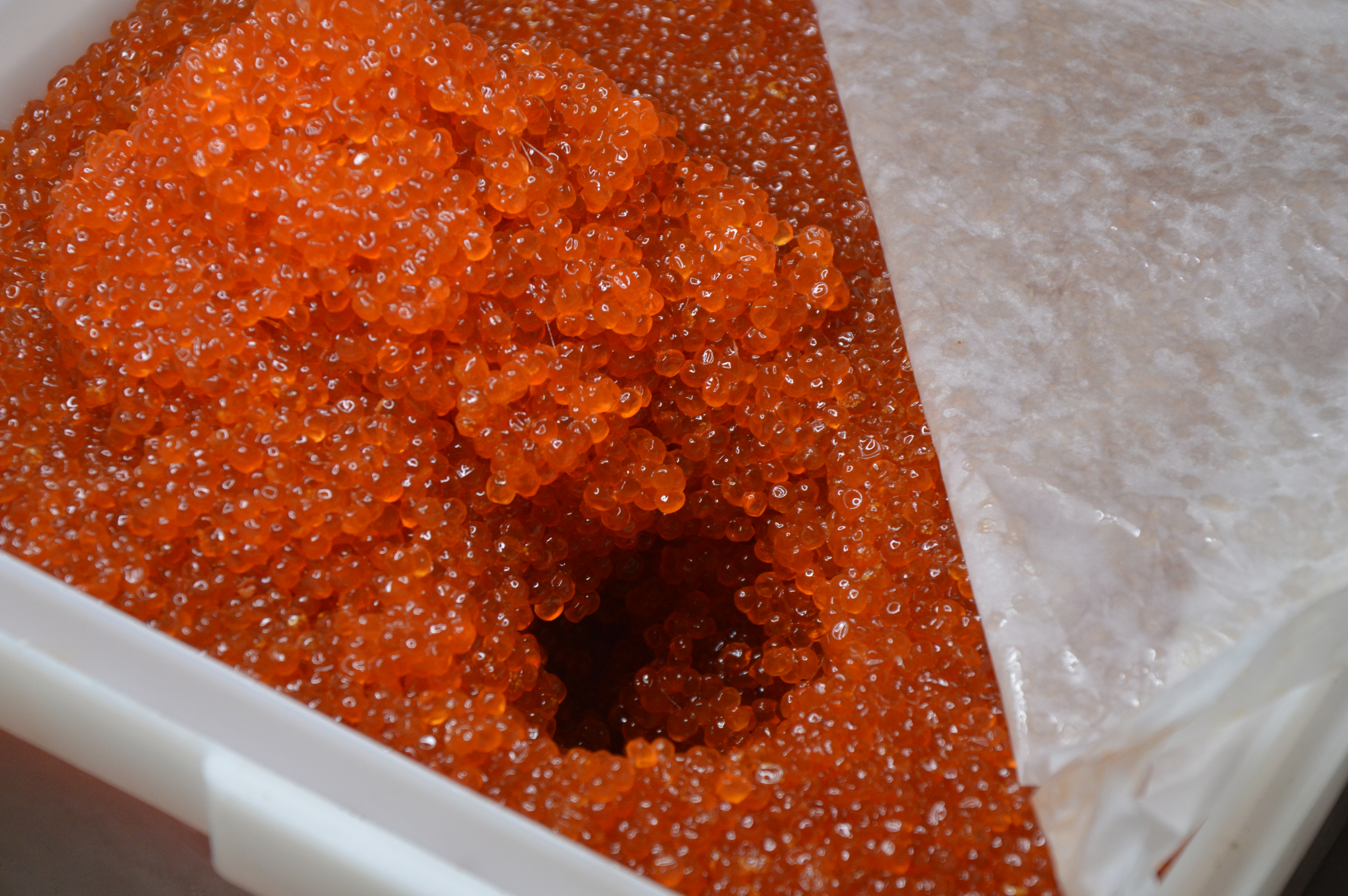 ���������� ������� ����. ������ ������ ���� ������� �������, �����������, �� 2,5% ����. ���� ���� ���������, �����������. � ����� ���� ������ (�������)