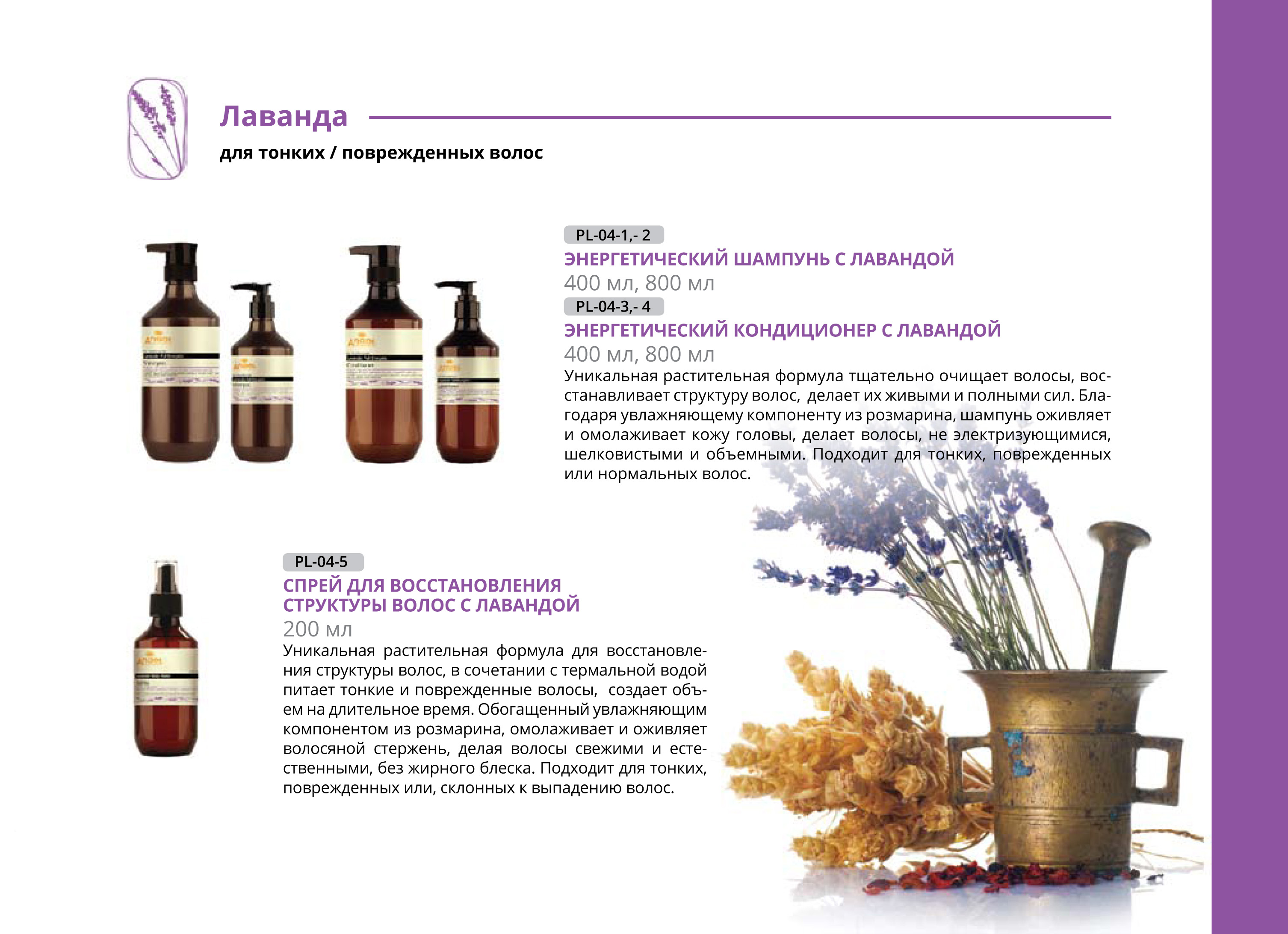 ���� �� 01 �������. ��� ���������� � �������� �����… ���������������� ����������� �������� ��� �����, ����������� � ���������. ����� �������! ������� 25