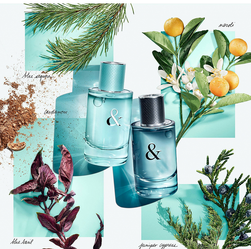 ��� ���, ��� �� �����, ���� ���������� 02/20 ��� ����� ����, ������������� ���� ���. �������� ������ �� 4 �������. ������� �������� 14-15. ��������� ������� ����� � 8�����