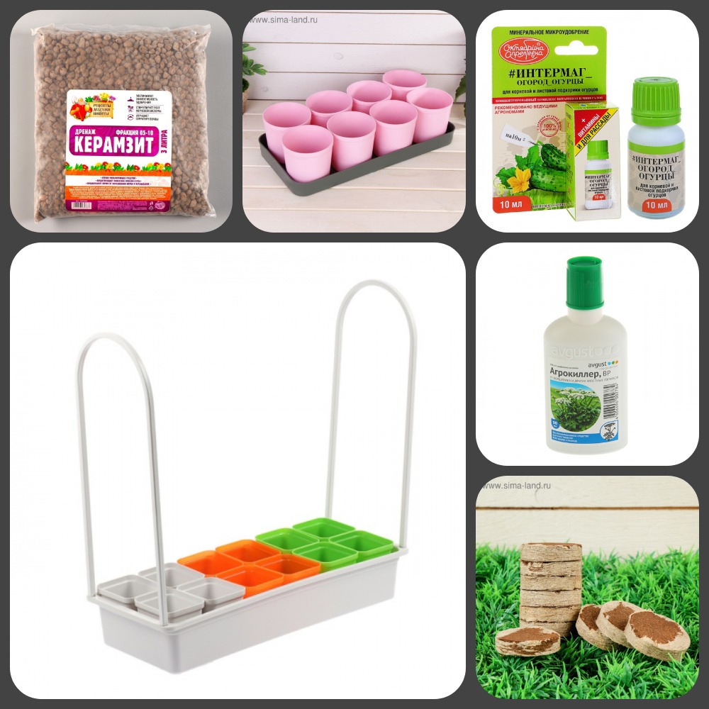 ���� ������� �� 05.02. ������� ��������. �ӣ ��� �������: ������, ���������, ���������, ��������������� � ��.