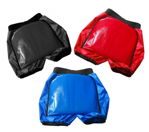 �������-����� ����-������ Ice Shorts-XS    ������� ����: 250 �