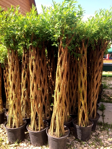 ����� �������� �� 9.02. �������� ���. ������ ��������� � ����. ! �� 230�� �� ��������� ��� ����� ������. 