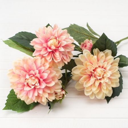 ��������� � ����� ����! �������� ����� �������� ������� - ��������� ������, ����������� ���������!