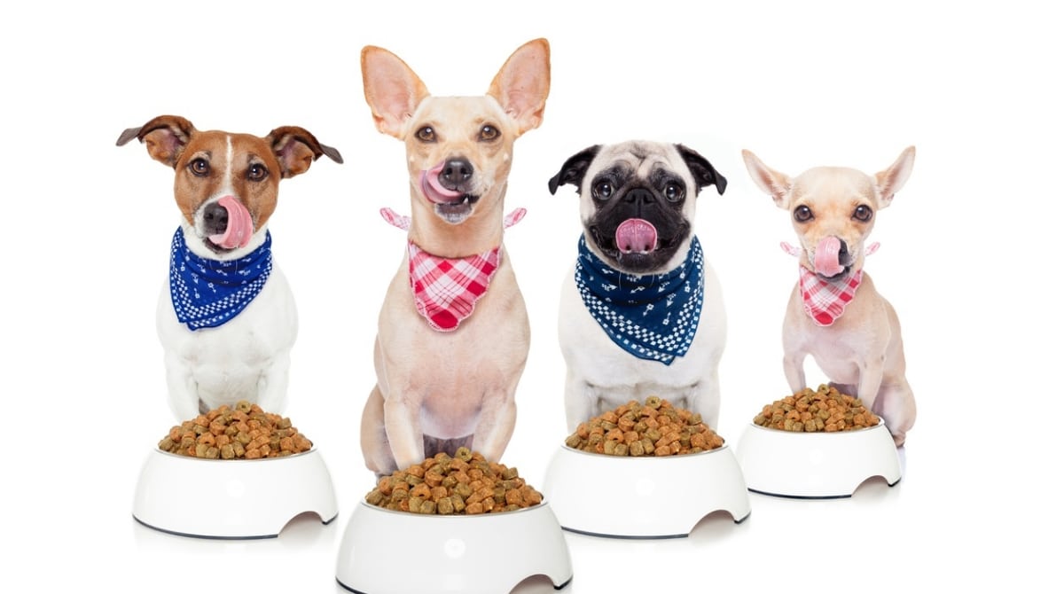 ���� ��� �����. ������� 28.02.