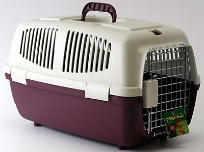 ������ ��� ����� � �����. ������� 28.02.