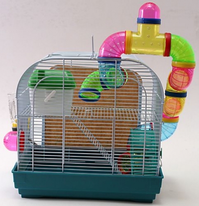 ������ ��� �������� � ����. � ����� ������� ��������������. �������  28.02.