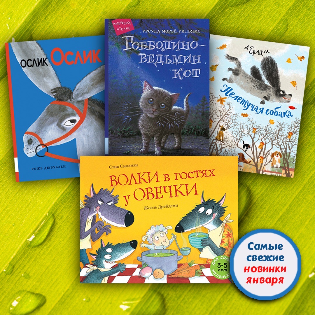 ���� ������� �� 17.02. �����. ����� - ������. ����������� ���������������� ������������ ��� ����� �� 1 ���� �� 10 ���. ��������� ����� �������������� ����. �������