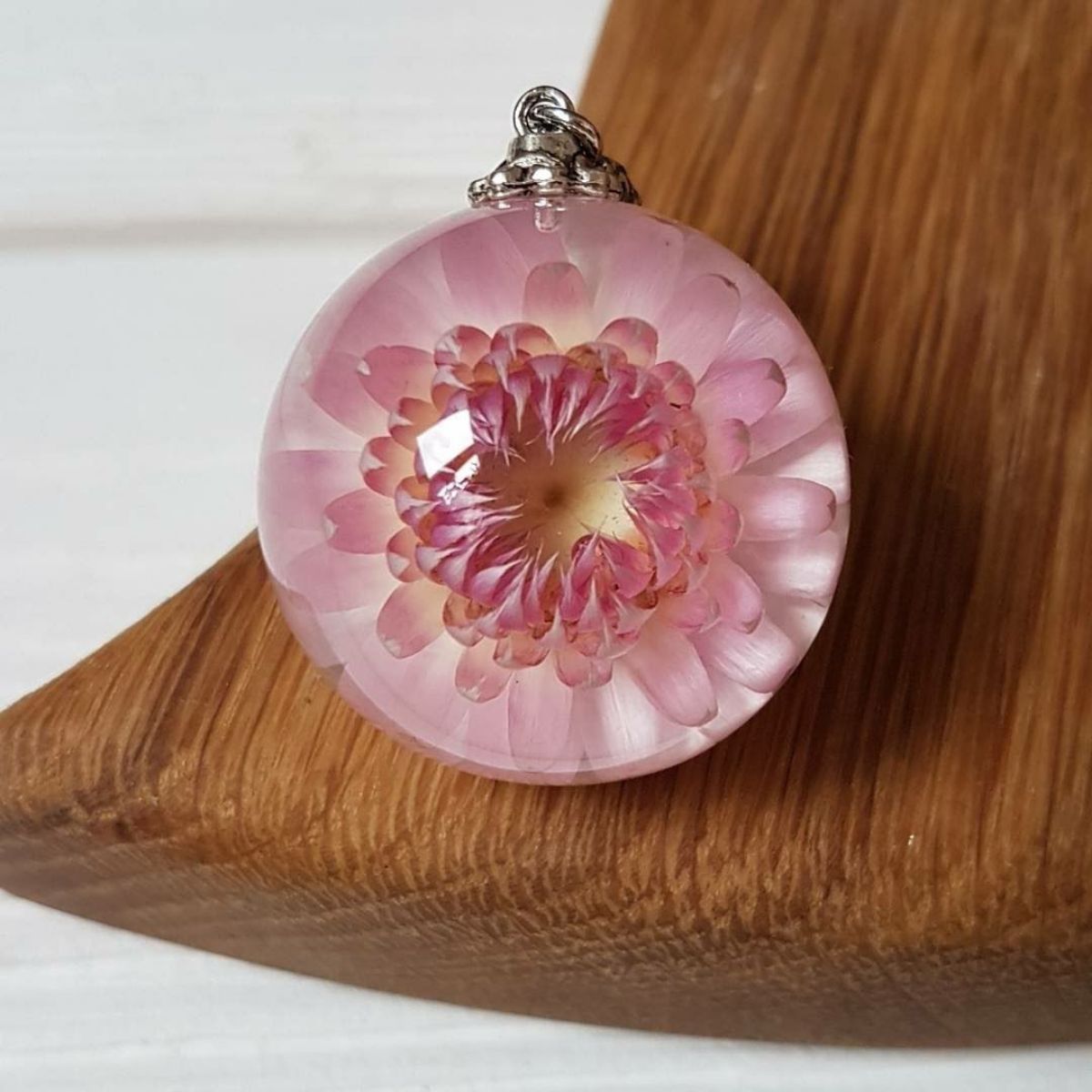  ���� ������� �� 25/02. ���������� ����� � ���������. ����� 8.