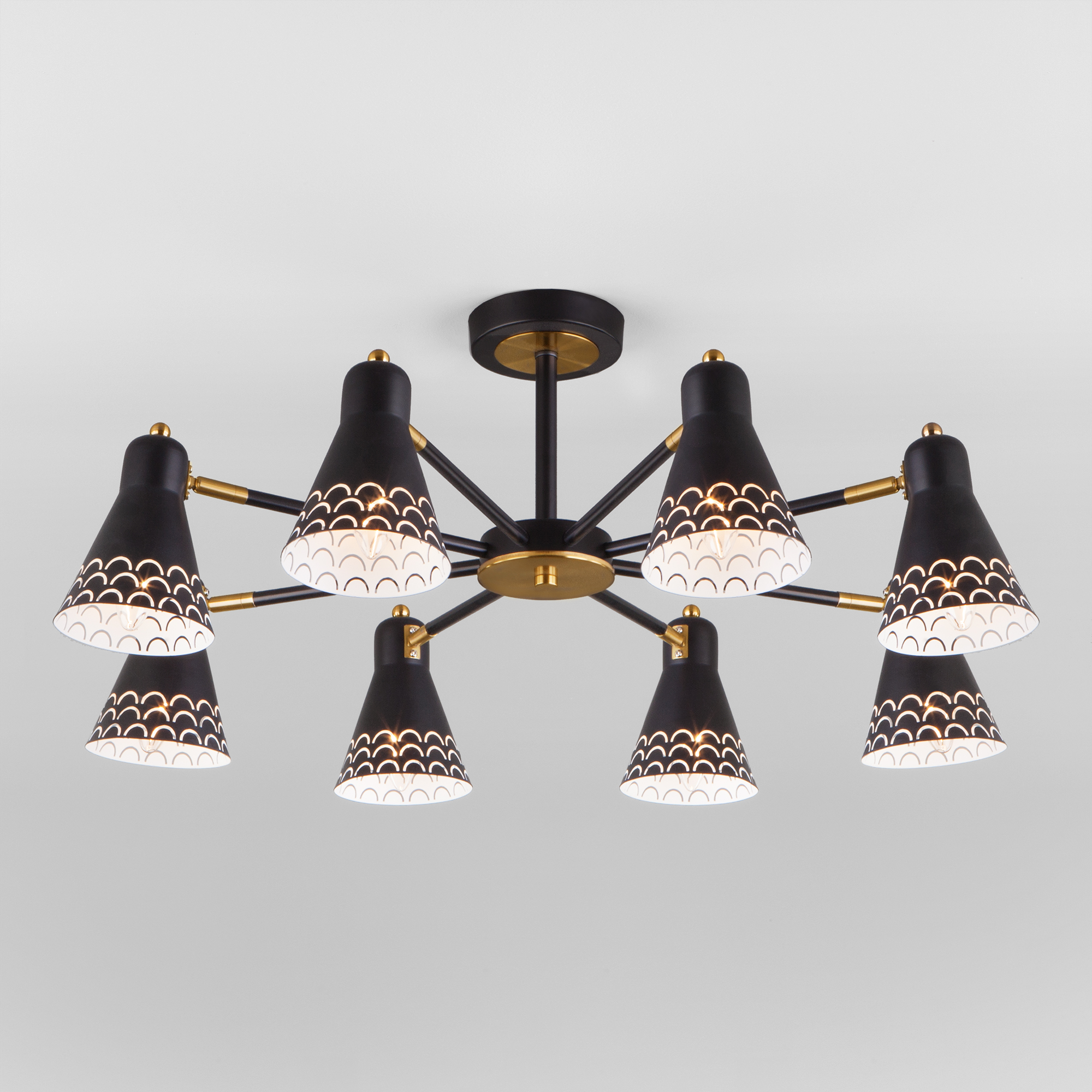 ���� ������� 17/02/ ������. �������� �������. ������  �������, ���� ���� ����