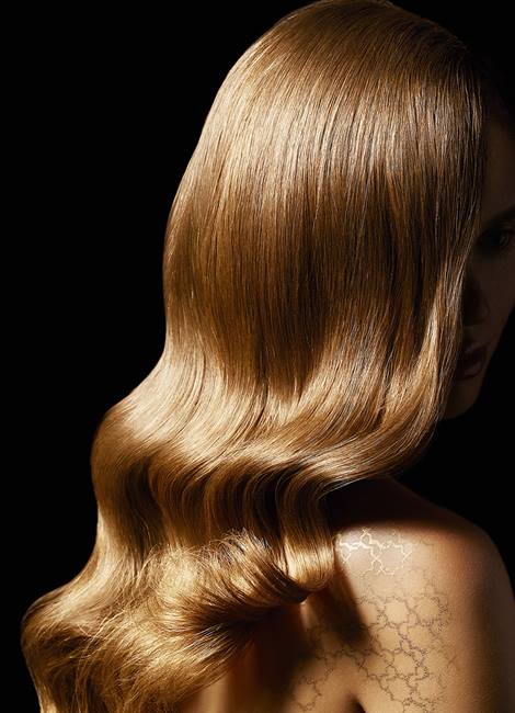 ���� �� 17 �������.�������� ����� �� �������� �� LoRe@l professionnel - ���������� ���� ��������� �������!������� ����� ��� �� 25 �������.